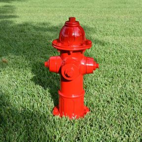 Dog Park Budget Fire Hydrant