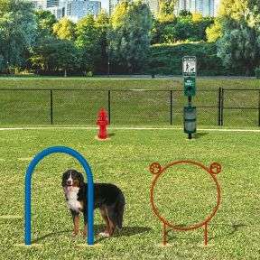 Budget Dog Run Dog Park Course