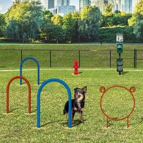 Standard Dog Park Course