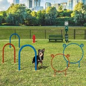 Champion Dog Park Course