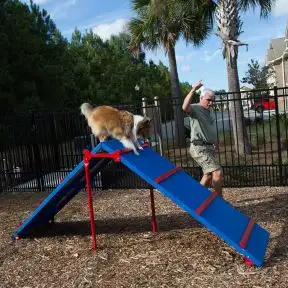 Dog Park Products - Dog Hill Climb