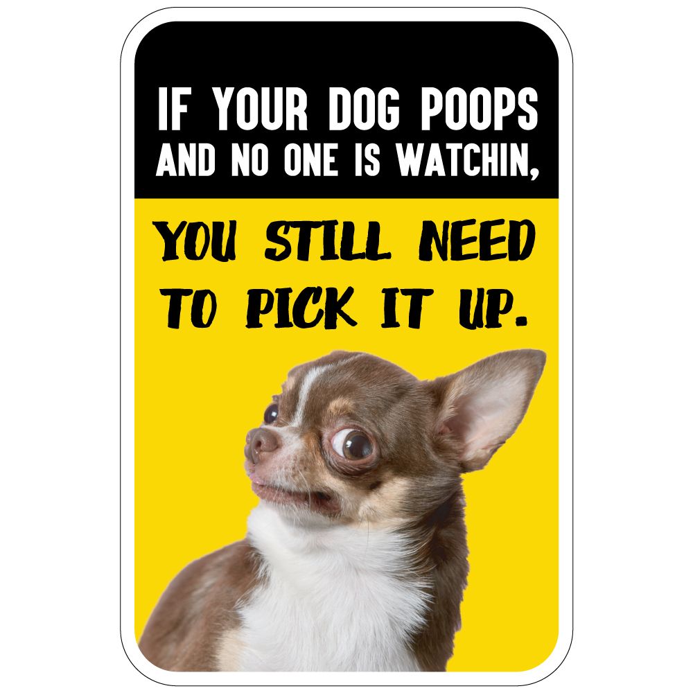 Funny fashion dog poop pictures