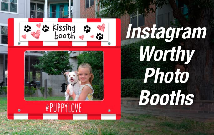 Instagram Worthy Photo Booths for Dog Parks